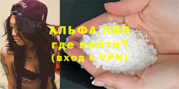 стаф Инсар