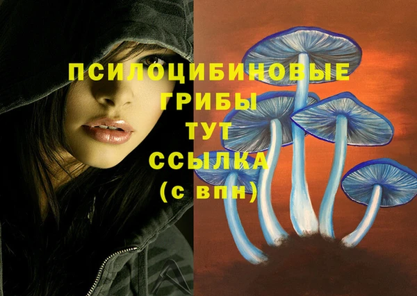 COCAINE Каменск-Шахтинский