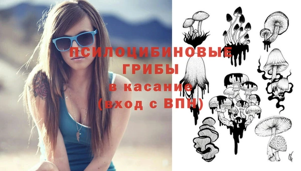молекула духа Кодинск