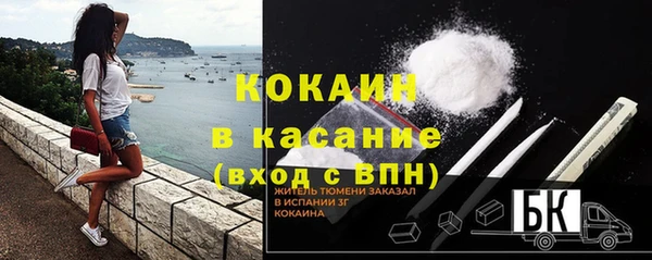 твердый Киреевск
